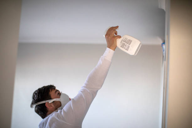 Best Home Mold Removal  in Monticello, MN