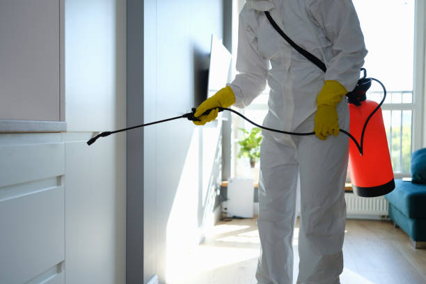 Best Professional Mold Removal  in Monticello, MN