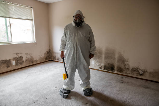Best Emergency Mold Removal  in Monticello, MN